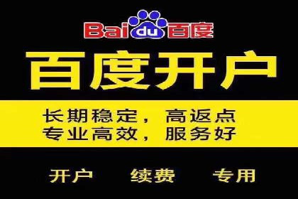 百度推广的长期效果评估与优化